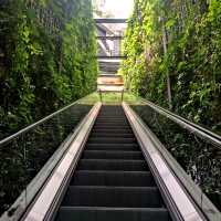 🇲🇾 Green Vibes and Photo-Op Spots at Tamarind Square