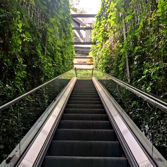 🇲🇾 Green Vibes and Photo-Op Spots at Tamarind Square