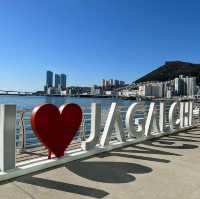 Fresh Catch Heaven:  Jagalchi Seafood Market