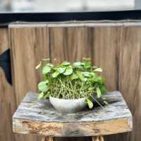 Tung Nam Lou Art Hotel: Where Creativity Meets Comfort