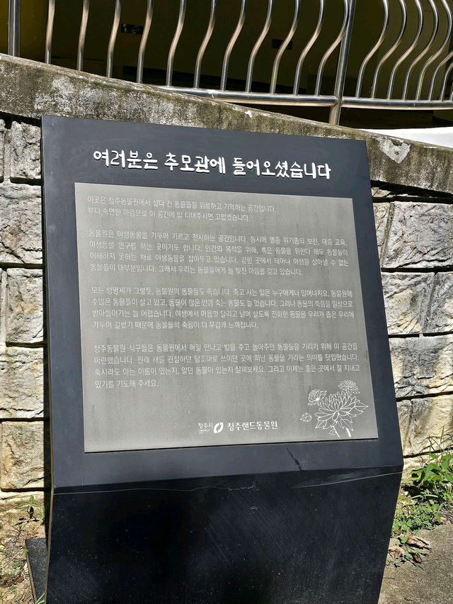 🌸ෆ˃̵͈̑ᴗ˂̵͈̑ෆ 🌸청주랜드동물원