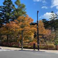Nikko เมืองมรดกโลก กลางเดือนตุลาคม