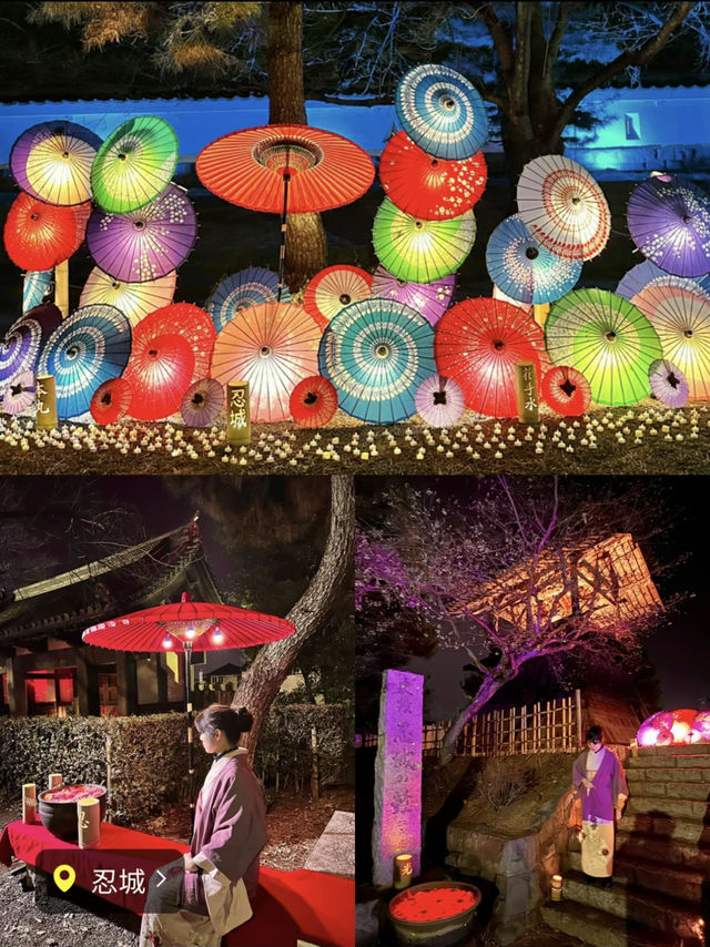 〜埼玉県〜【保存必須】MAP有！今年で最後かも花手水イベント