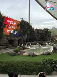 🇸🇬 Sky Amphitheatre Wings of the World
