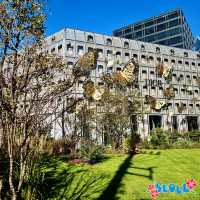 Top 5 Photo Spots in Seongsu