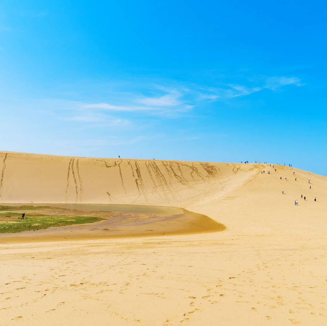 Discover Tottori Sand Dunes Children’s Playground – A Hidden Gem for Family Fun