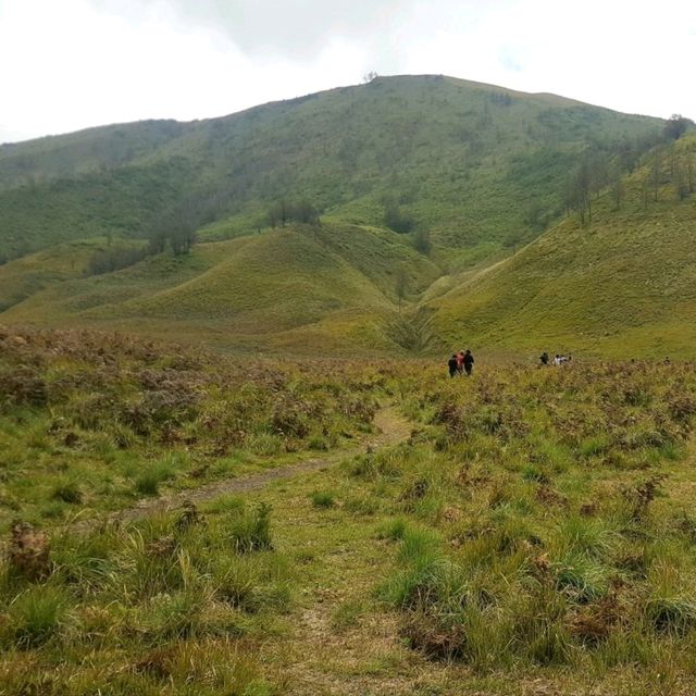 GRASSLANDS OF SAVANNAH HILLS 