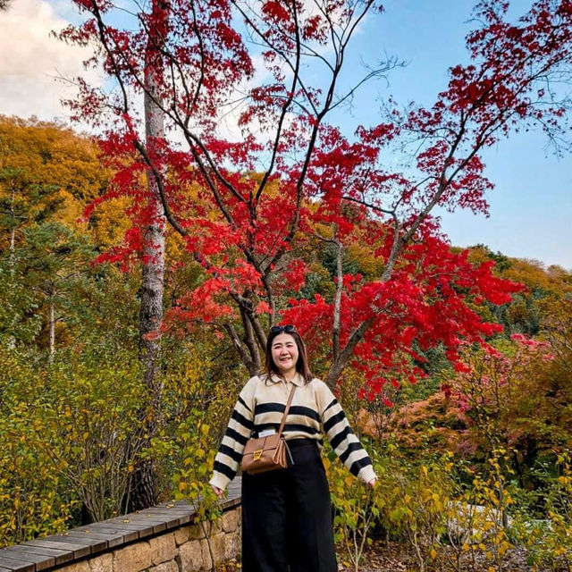 Hwadam Botanical Garden - South Korea