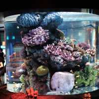 SEA LIFE Bangkok Ocean World