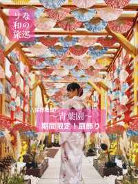〜埼玉県〜可愛い🪭飾り！秋限定！青葉園