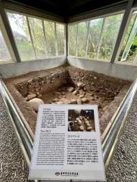 台中海線 免門票散步好去處