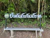 พายเรือ เล่นน้ำที่ป่าต้นน้ำบ้านราด จ.สุราษฎร์ธานี