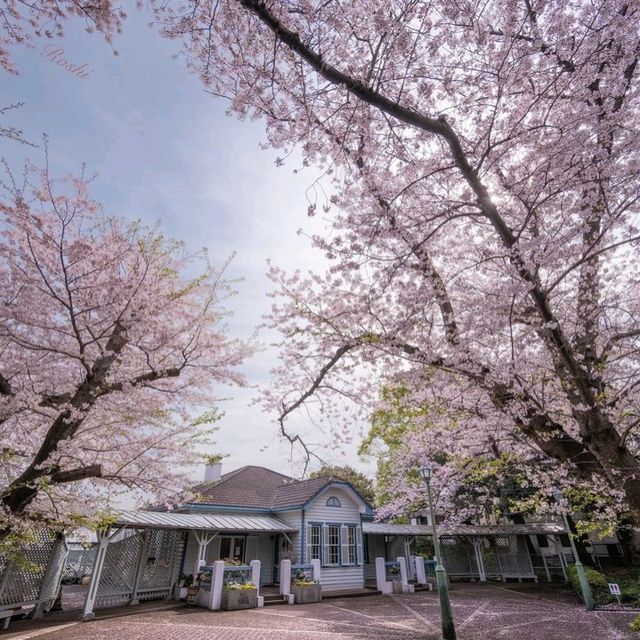 A park with tranquility and peace