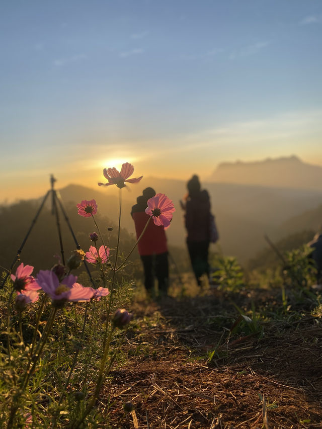 ฮาดู่บิ แคมป์ปิ้ง | จ.เชียงใหม่ ⛺️⛰️☀️🌳