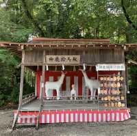 三河国一宮　砥鹿神社