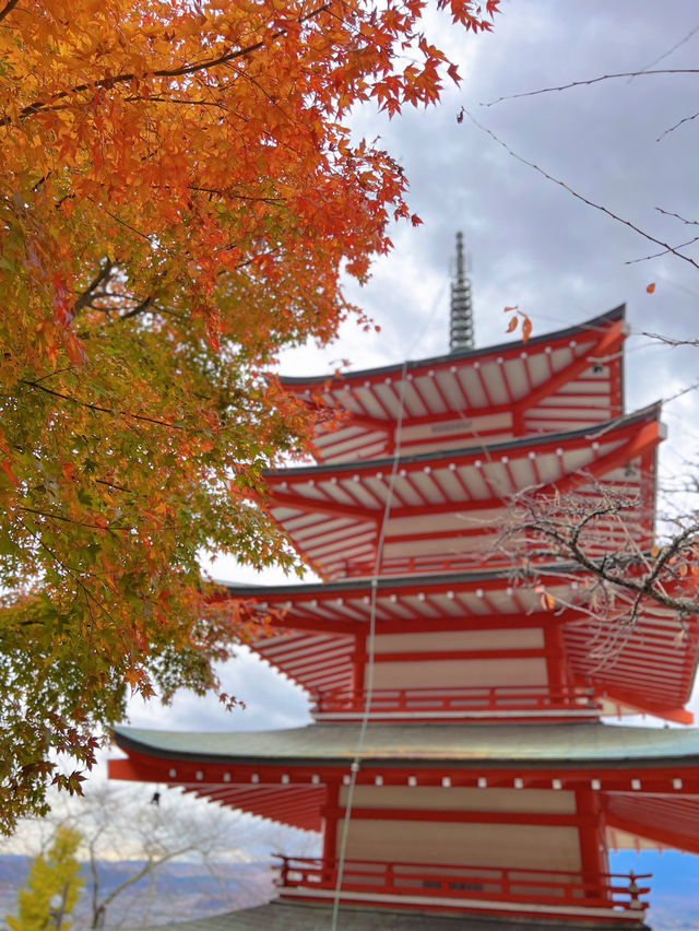 【山梨】富士山見ながら紅葉狩り