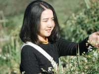ภูชี้ฟ้า