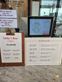 Horangi JellaTteok Mochi Ice Cream Busan