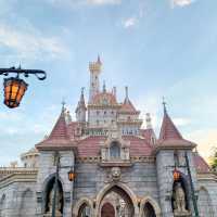 สวนสนุก Tokyo Disney