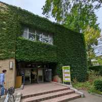 札幌景點｜北海道賞楓、賞銀杏一級戰區—北海道大學