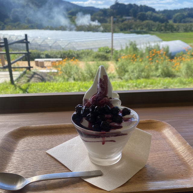 【千葉•鴨川　みんなみの里】　地元野菜🫚⭐︎