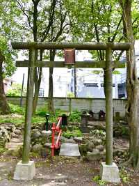 【東京都】木々に覆われた社殿が見応えあり