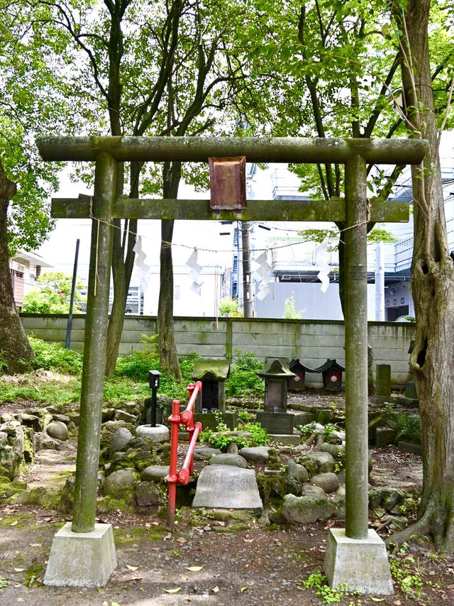 【東京都】木々に覆われた社殿が見応えあり