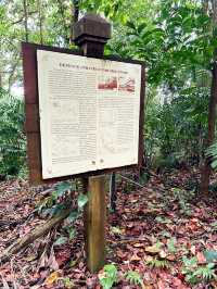 Exploring Labrador Nature Reserve 