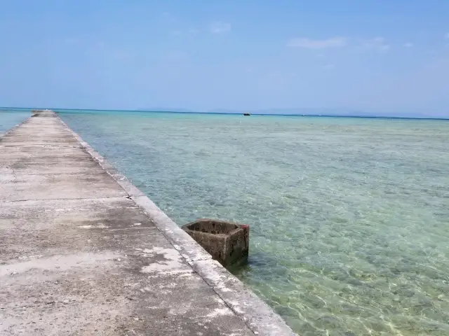 【อิชิกากิ】จำนวนวัวในเกาะคุโระชิมะมีมากกว่าจำนวนประชากรในเกาะ ซึ่งกลายเป็นความภาคภูมิใจของชาวเกาะไปแล้ว