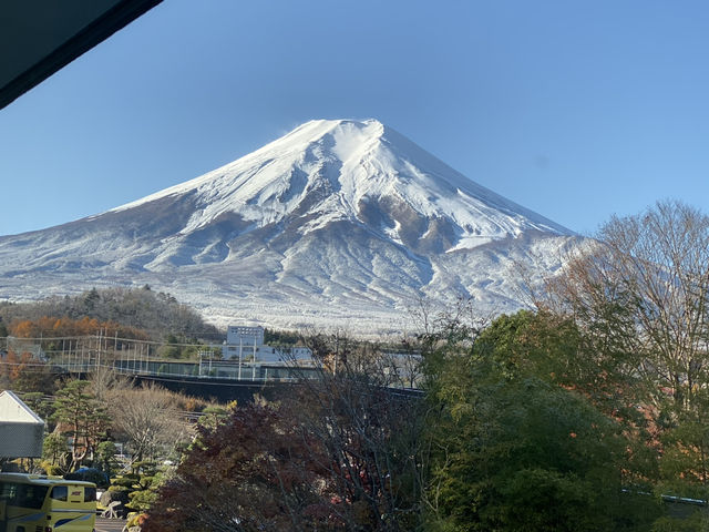 🇯🇵富士山河口湖🗻規模最誇張的一泊二食旅館 🍁