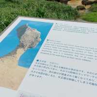 探索台北的自然奇觀 — 野柳地質公園