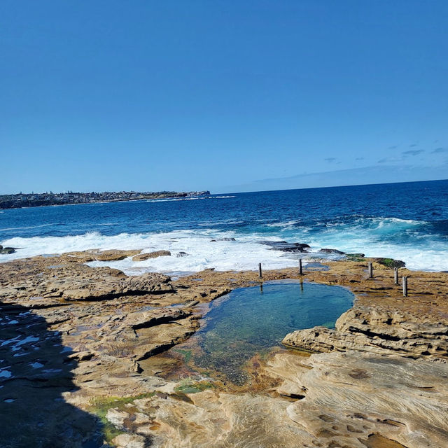 Ivo Rowe Rock Pool