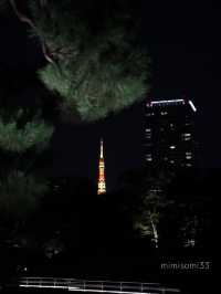 【大人デートスポット】風情ある庭園で季節を感じながら散策