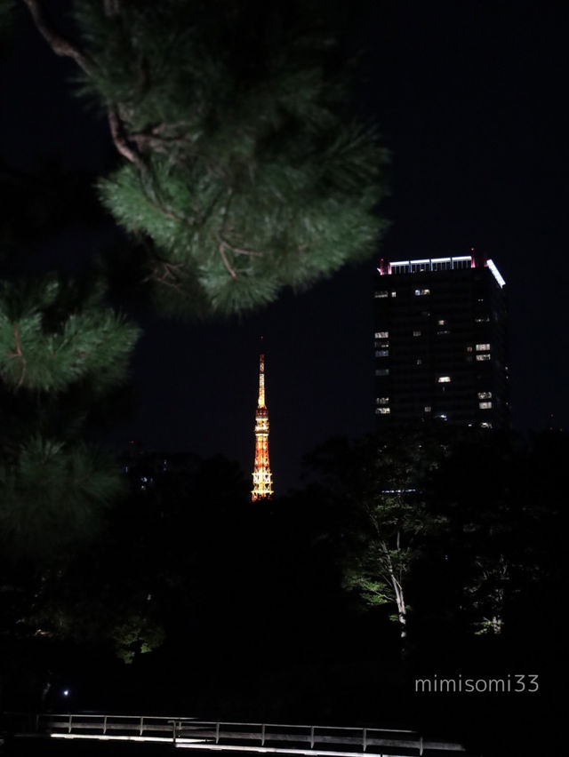 【大人デートスポット】風情ある庭園で季節を感じながら散策