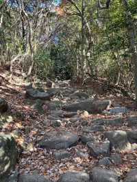 【福岡】太宰府市と筑紫野市にまたがる山