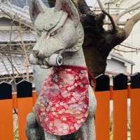 大坂ㅣ參天巨木加持ㅣ有神靈的澁川神社