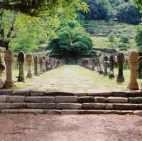 ปราสาทหินวัดพู สปป.ลาว