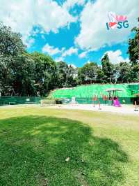 🇸🇬 Berry welcome to Bukit Batok Nature Park