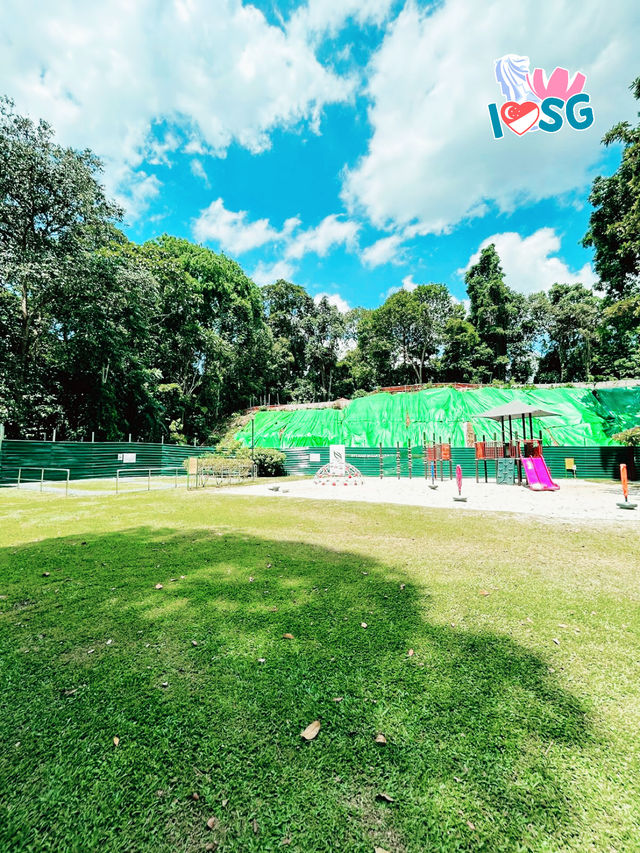 🇸🇬 Berry welcome to Bukit Batok Nature Park