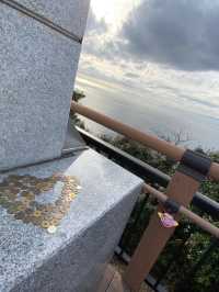 【静岡🇯🇵】地平線へ沈んでいく夕日を眺める休日