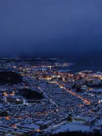 A Day Trip to Otaru: Exploring Hokkaido’s Historic Canal Town 🌊🏘️  