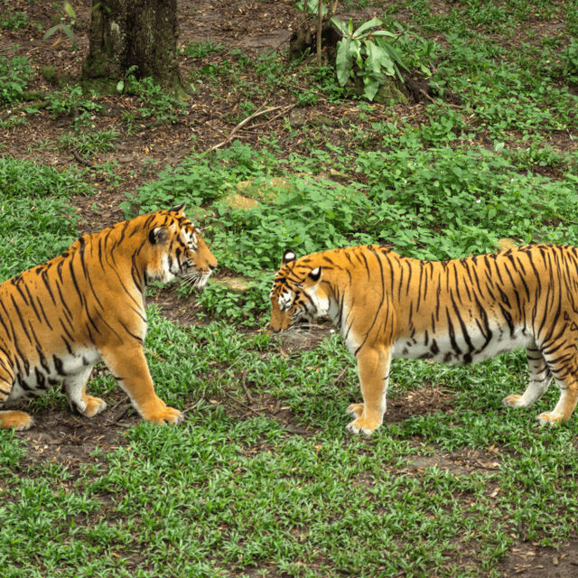 ZOO JOHOR ZOO JOHOR