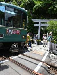 鳥居と江ノ電のコラボが素敵すぎる
