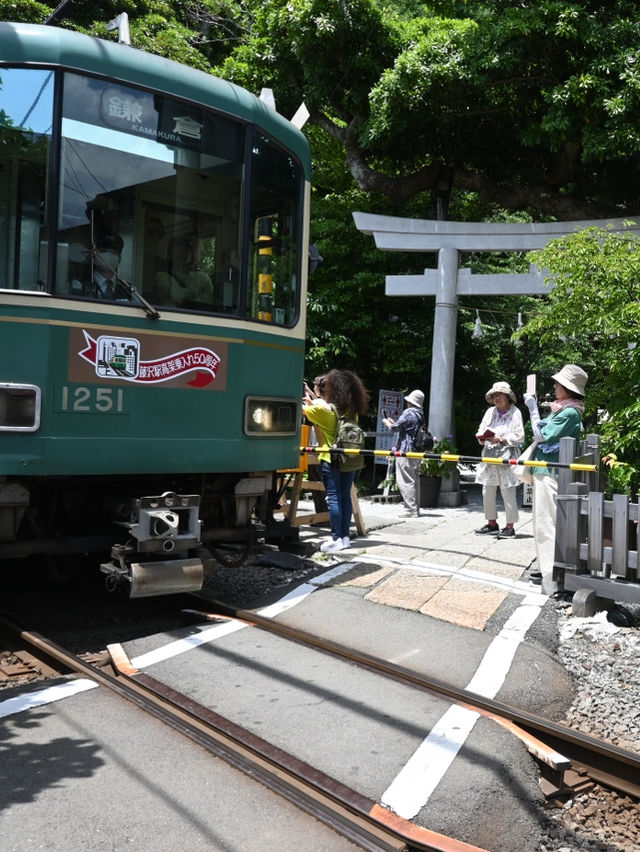 鳥居と江ノ電のコラボが素敵すぎる