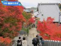 日本三景-宮島的漫山楓紅與海上鳥居