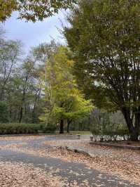 【軽井沢】遊具もターザンロープもある！紅葉が綺麗な緑地公園🍁