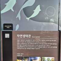 🌍 자연 생태를 배울 수 있는 교육적이고 평온한 공간 화담숲자연생태관🌍