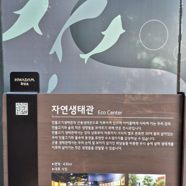 🌍 자연 생태를 배울 수 있는 교육적이고 평온한 공간 화담숲자연생태관🌍