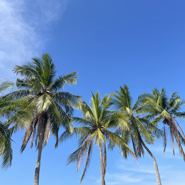 แจกแพลนเที่ยวบางแสนไม่ถึง 24 ชม. 🌴🌊