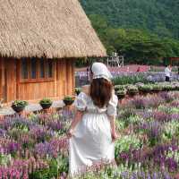 Hokkaido Flower Park Khaoyai